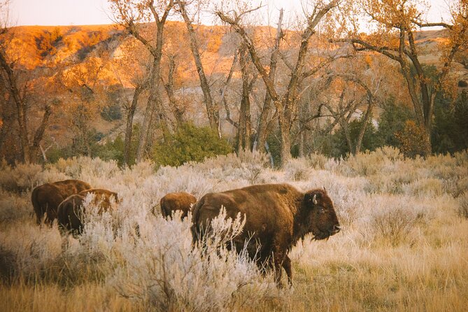 Rocky Mountain Escape - Idaho Springs adds mining history and a relaxed town stop