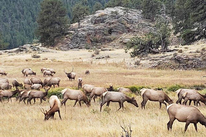 Rocky Mountain National Park and Estes Park Tour from Denver Winter and Spring - Why this is a smart winter day trip from Denver