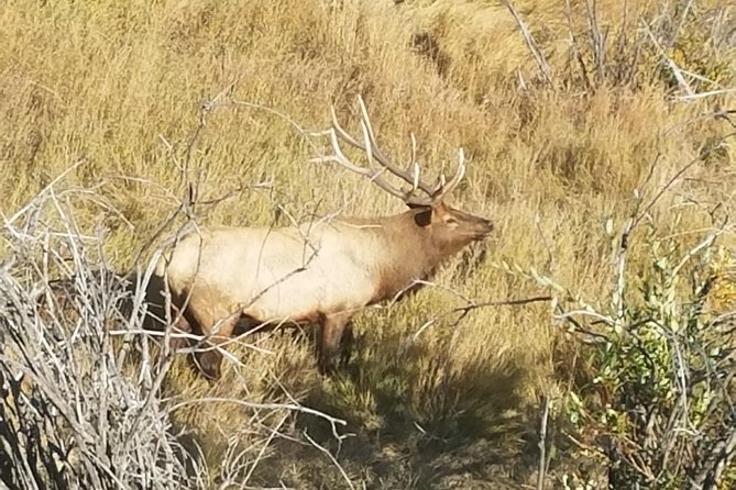 Rocky Mountain National Park and Estes Park Tour from Denver Winter and Spring - Alluvial Fan and the force of mountain water