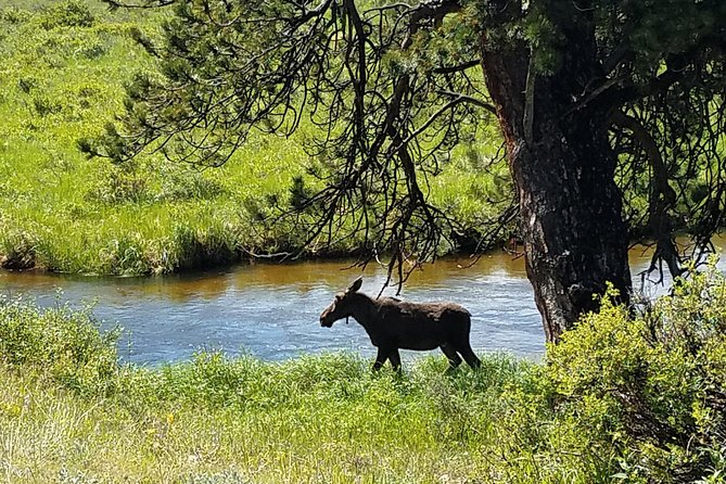 Rocky Mountain National Park and Estes Park Tour from Denver Winter and Spring - Beaver Meadows Visitor Center and Moraine Park
