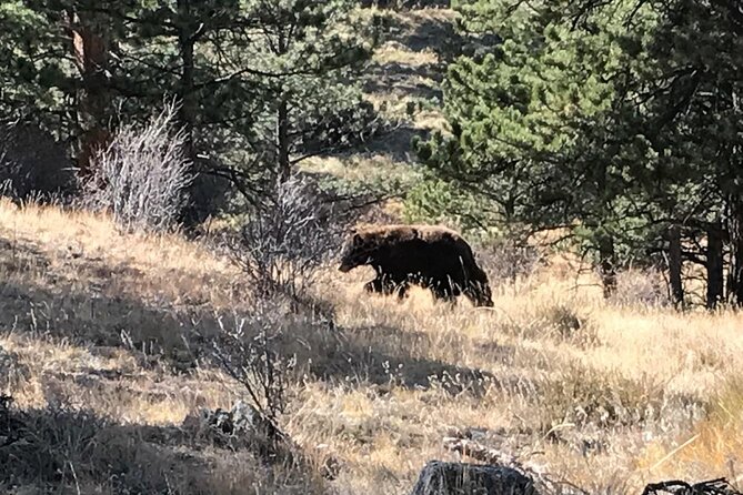 Rocky Mountain National Park in Summer Tour from Denver - The Stanley Hotel stop