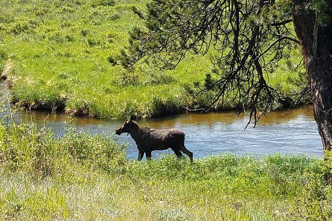 Rocky Mountain National Park in Summer Tour from Denver - Altitude, walking, and what to pack