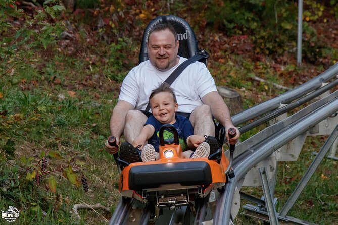 Rocky Top Mountain Coaster Admission Ticket in Pigeon Forge - The scenery and the night ride