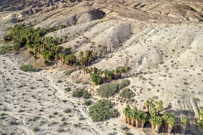 San Andreas Fault Jeep Tour from Palm Desert - Key things to know before you book