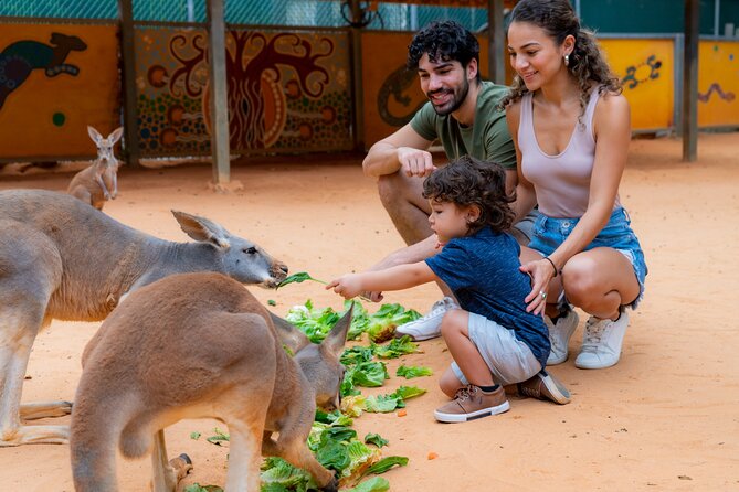 San Antonio Zoo General Admission Ticket - A four-hour walk through San Antonio Zoo