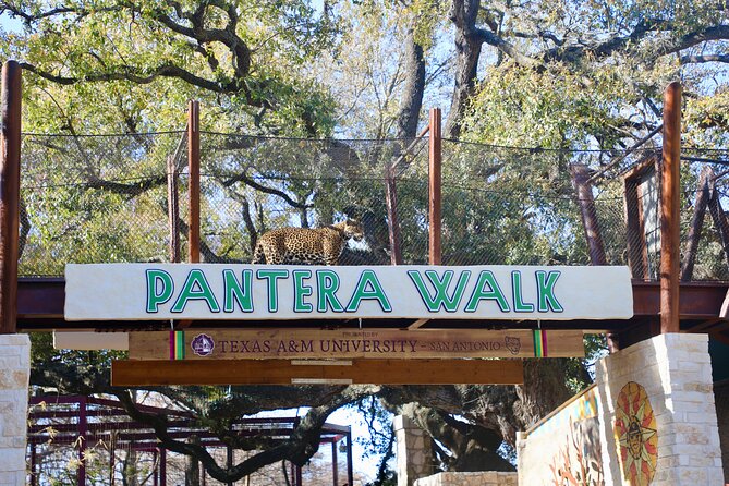 San Antonio Zoo General Admission Ticket - Amphibia, birds, and Flamingo Mingle