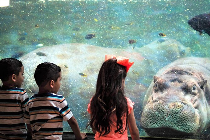 San Antonio Zoo General Admission Ticket - Daily talks make the admission more useful