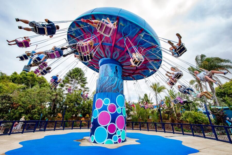 San Diego: SeaWorld Skip-the-Line Park Admission Ticket - Who should book this SeaWorld ticket?