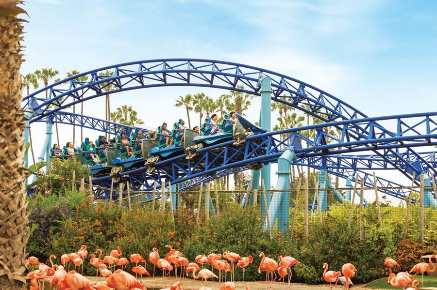 San Diego: SeaWorld Skip-the-Line Park Admission Ticket - Starting with marine animals and educational presentations