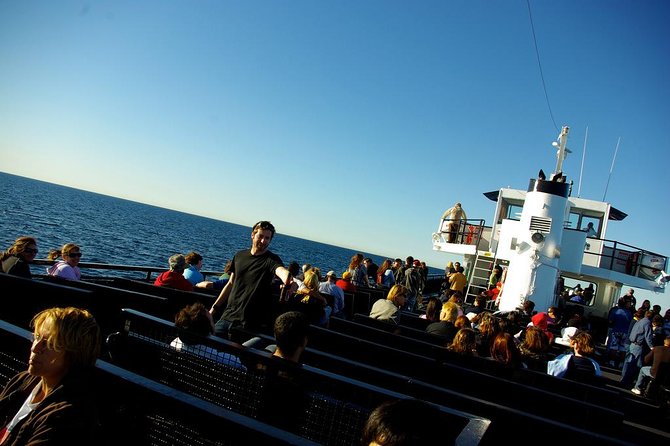 San Diego Whale Watching Cruise - The ride, seating, and comfort level