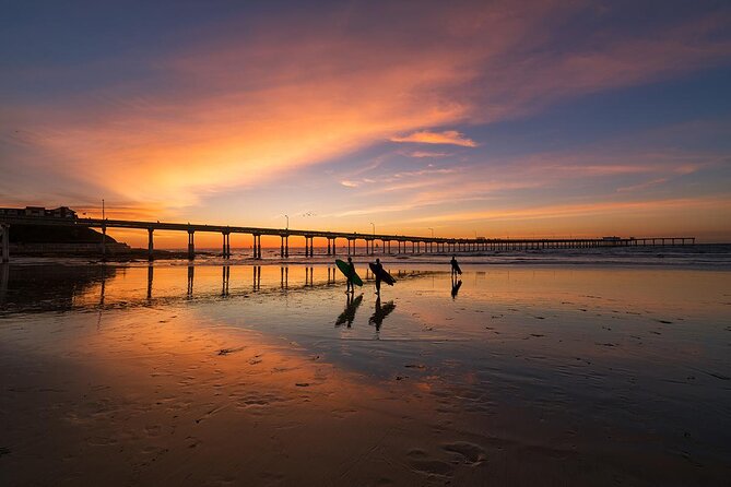 San Diego Whale Watching & Dolphin Cruise - Sunset Cliffs and the return ride