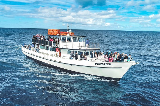 San Diego Whale Watching & Dolphin Cruise - Who will enjoy this cruise most