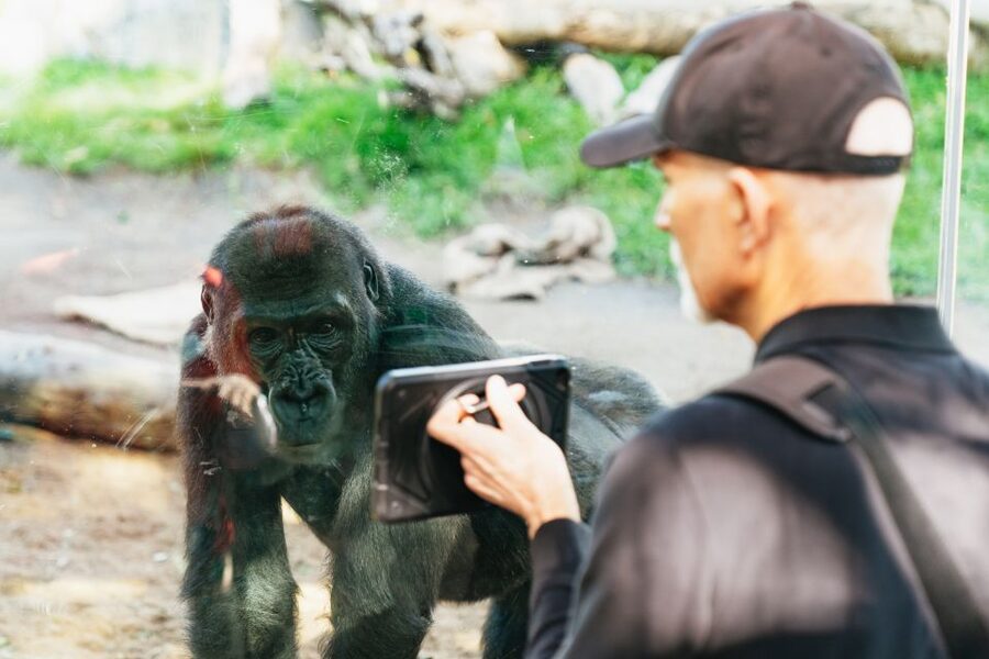 San Diego Zoo: 1-Day Admission Ticket - Skyfari is both a ride and a useful shortcut