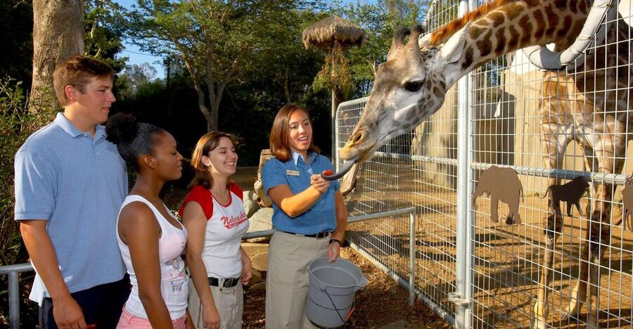 San Diego Zoo: 1-Day Admission Ticket - Discovery Outpost and the Galápagos tortoises