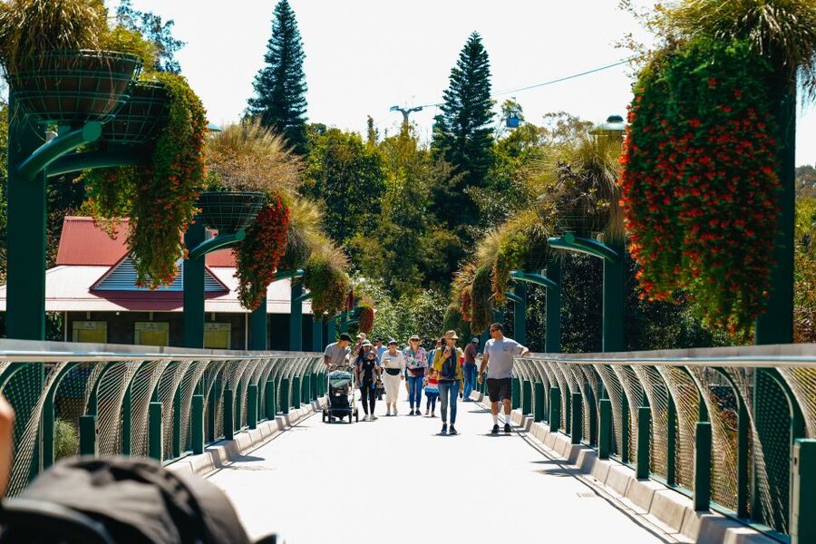 San Diego Zoo: 1-Day Admission Ticket - Elephant Odyssey links living animals with the past