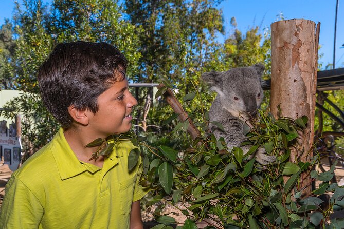 San Diego Zoo 1-Day Pass: Any Day Ticket - Keeper talks, the nursery, and hands-on areas