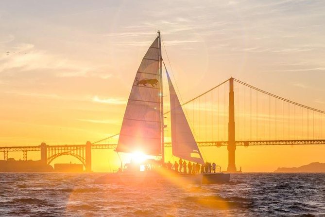 San Francisco Bay Sunset Catamaran Cruise - Pier 39 and the sea lions at Dock J