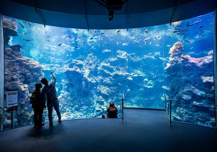 San Francisco: California Academy of Sciences Entry Ticket - Key points at a glance