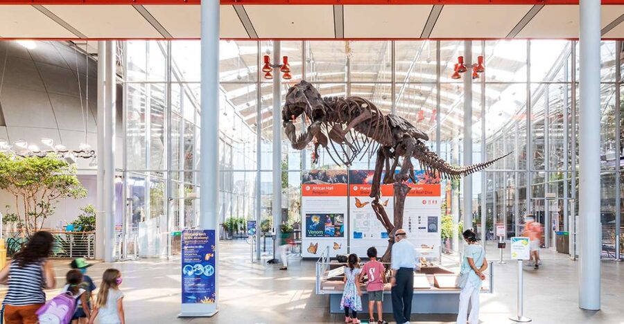 San Francisco: California Academy of Sciences Entry Ticket - Meet the penguins in African Hall