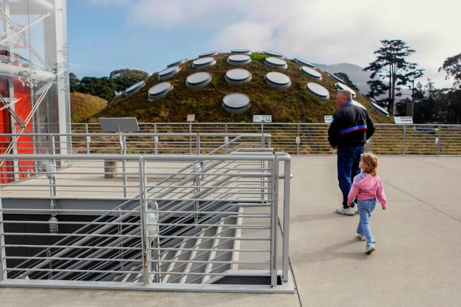 San Francisco: California Academy of Sciences Entry Ticket - The four-story rainforest requires a plan
