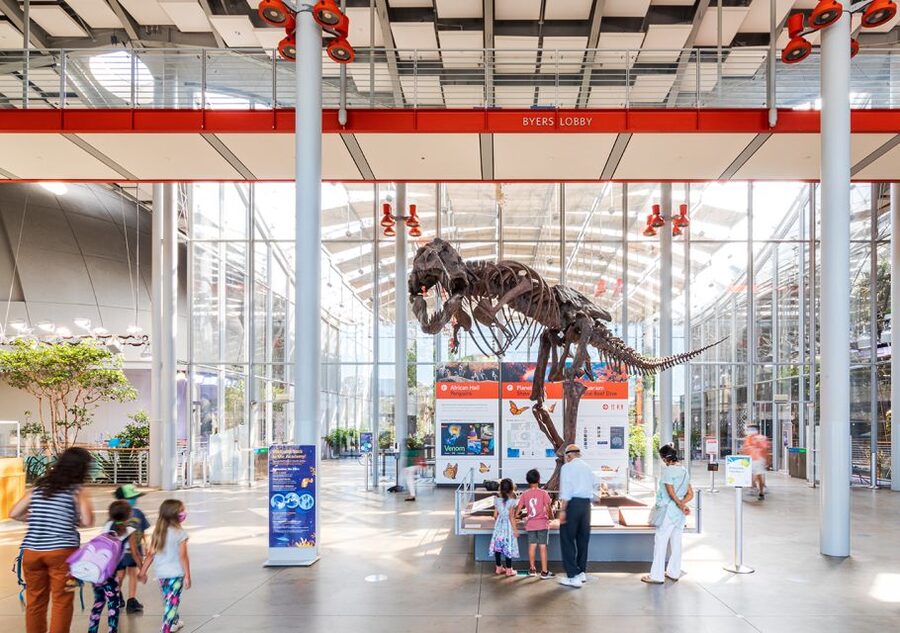 San Francisco: California Academy of Sciences Entry Ticket - Start with the aquarium and living coral reef