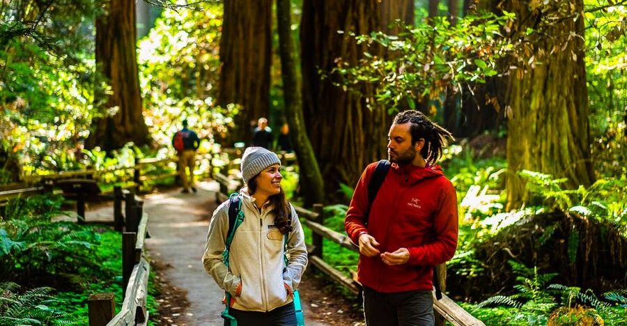 San Francisco: Muir Woods and Sausalito Half-Day Trip - Muir Woods: 90 minutes beneath the redwoods