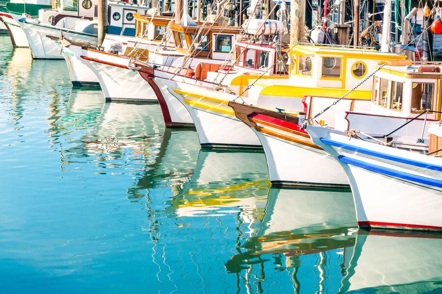 San Francisco: Muir Woods and Sausalito Half-Day Trip - Sausalito in 45 minutes