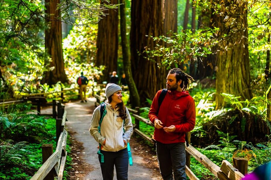 San Francisco: Muir Woods and Sausalito Half-Day Trip - What the guides add to the experience
