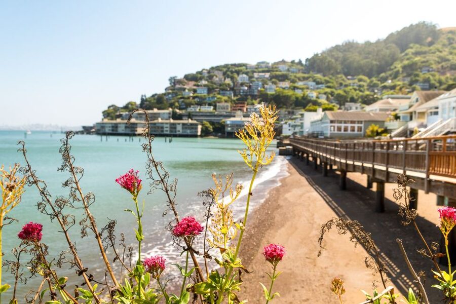 San Francisco: Muir Woods and Sausalito Half-Day Trip - Should you book the Muir Woods and Sausalito tour?