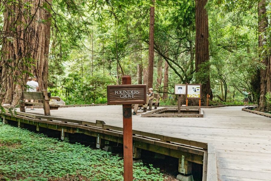 San Francisco: Muir Woods and Sausalito Small-Group Tour - How much value does the $99 price offer?