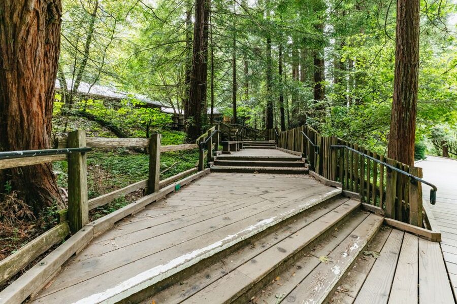 San Francisco: Muir Woods and Sausalito Small-Group Tour - Who will enjoy this half-day outing?