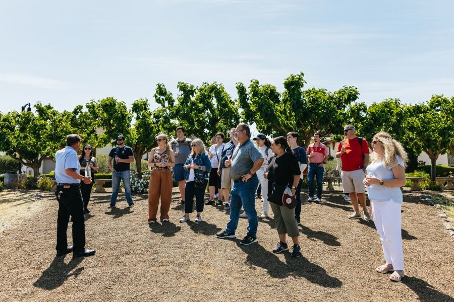 San Francisco: Muir Woods, Napa & Sonoma Valley Wine Tour - Quick facts to know before booking
