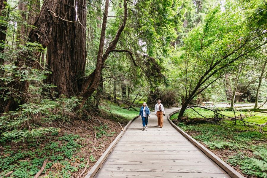 San Francisco: Muir Woods, Napa & Sonoma Valley Wine Tour - Sonoma Plaza: lunch, shops, and a useful pause