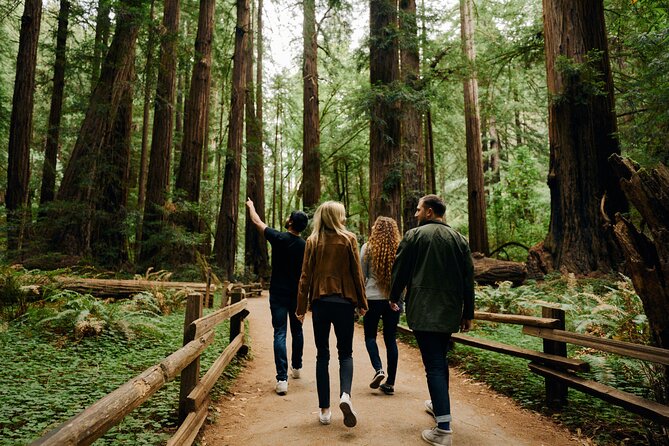 San Francisco, Muir Woods, Sausalito and optional Alcatraz tour - Walking among the redwoods at Muir Woods