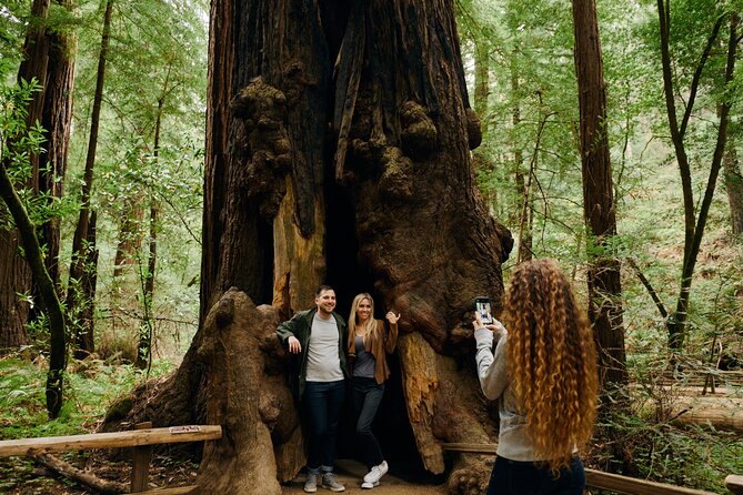 San Francisco, Muir Woods, Sausalito and optional Alcatraz tour - What the $119 price really buys