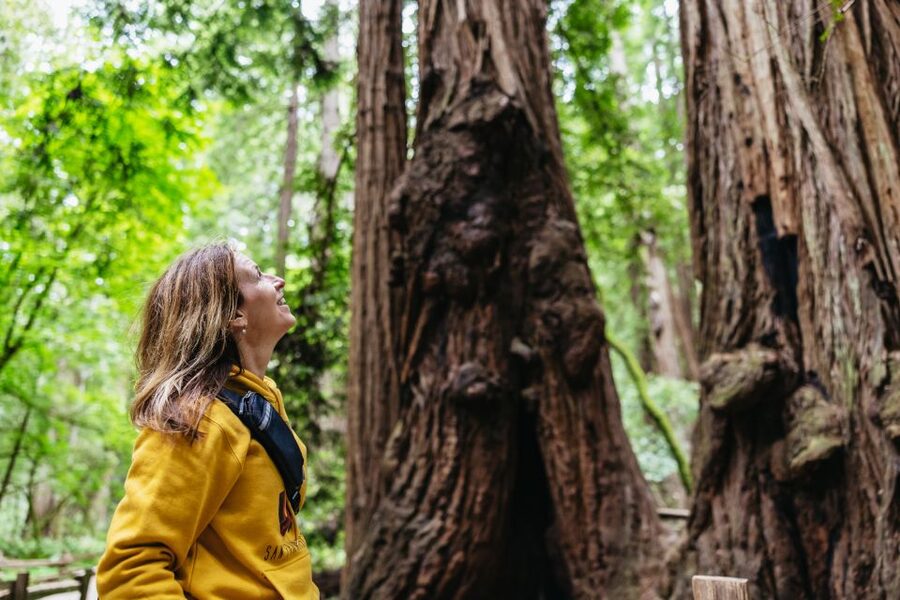 San Francisco: Muir Woods & Sausalito Tour with Ferry Option - Why Muir Woods makes this half-day trip worthwhile