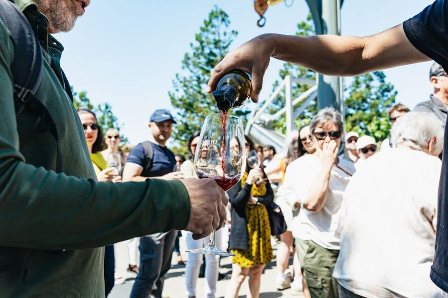 San Francisco: Napa and Sonoma Valley Wine Tour - Key points to know before you book