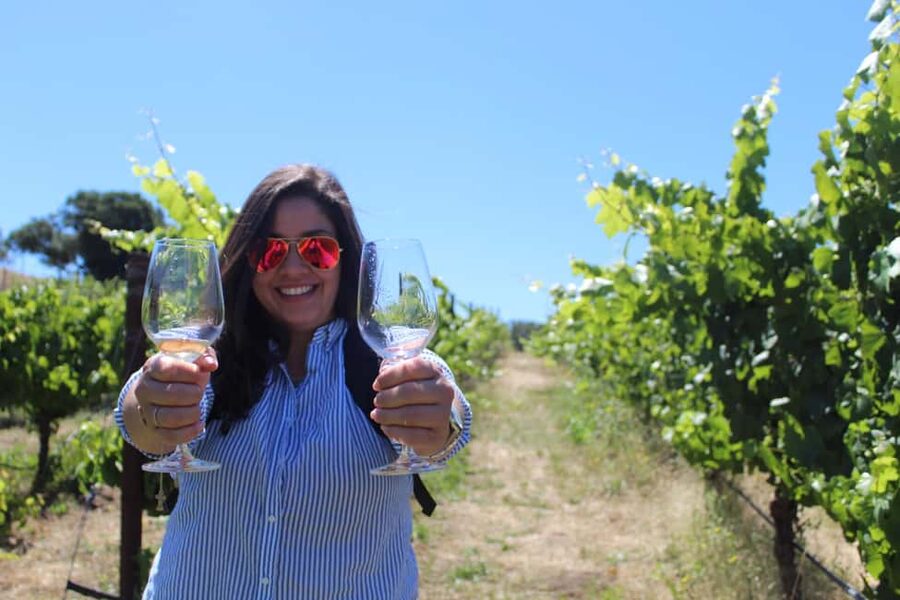 San Francisco: Napa and Sonoma Valley Wine Tour - First winery: start with the basics