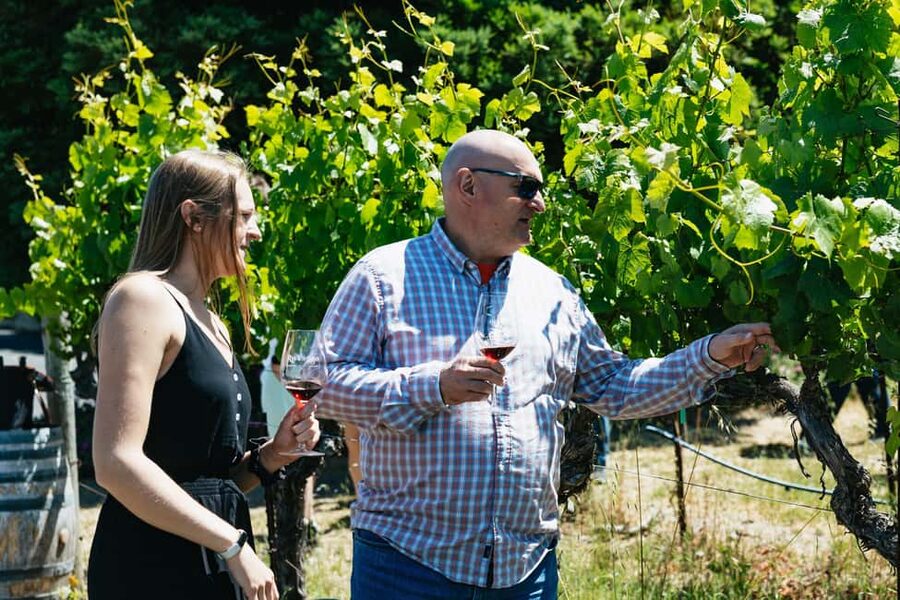 San Francisco: Napa and Sonoma Valley Wine Tour - Sonoma Plaza gives you a proper lunch break