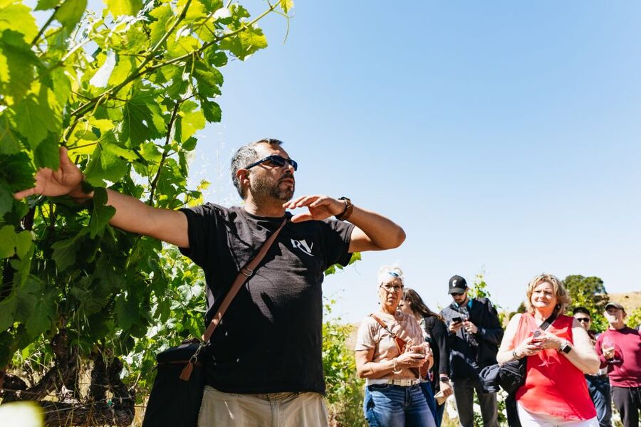 San Francisco: Napa and Sonoma Valley Wine Tour - The return to San Francisco can take time
