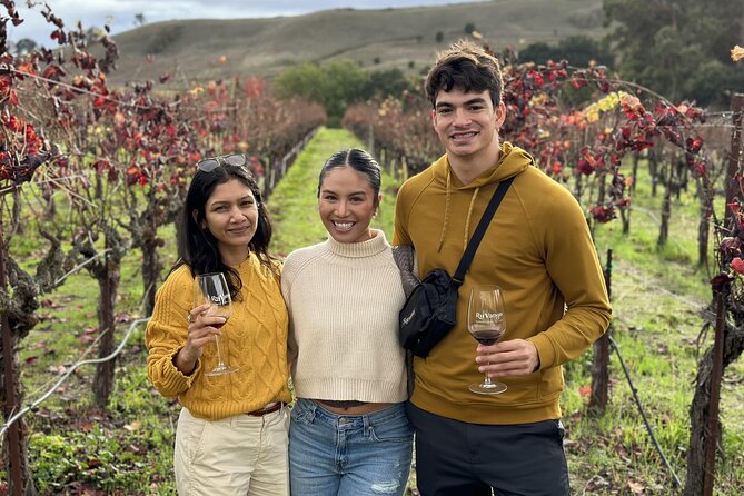 San Francisco Super Saver: Muir Woods & Wine Country w/ optional Gourmet Lunch - Jacuzzi Family Vineyards and olive oil