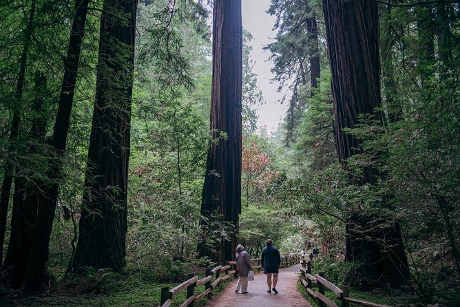 San Francisco Super Saver: Muir Woods & Wine Country w/ optional Gourmet Lunch - The Golden Gate Bridge photo stop