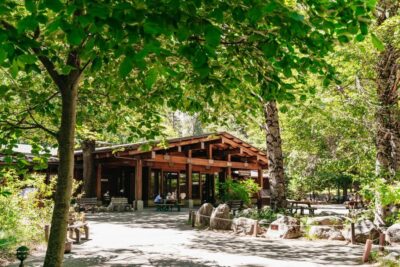 Yosemite National Park & Giant Sequoias Hike