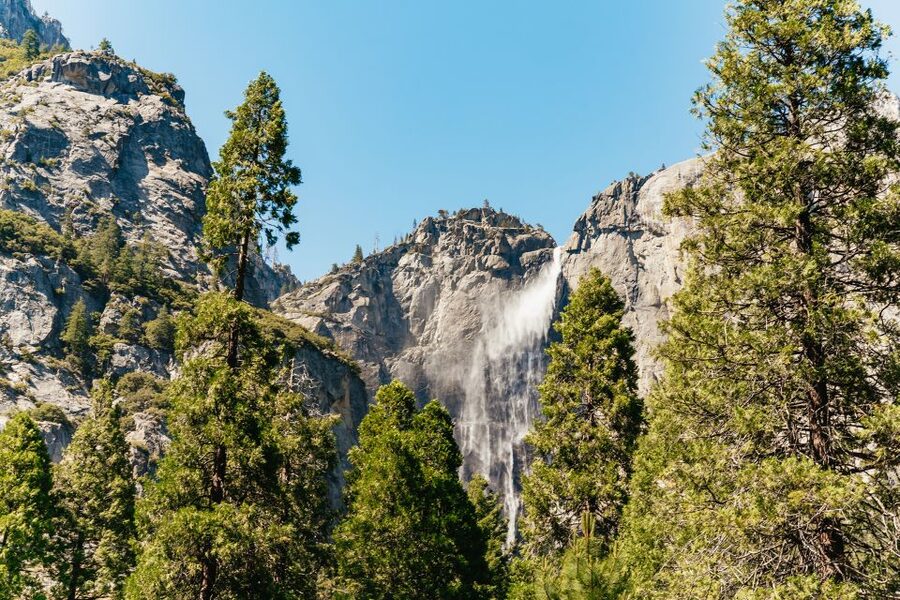 San Francisco: Yosemite National Park & Giant Sequoias Hike - Half Dome, Bridalveil Fall, and Sentinel Bridge
