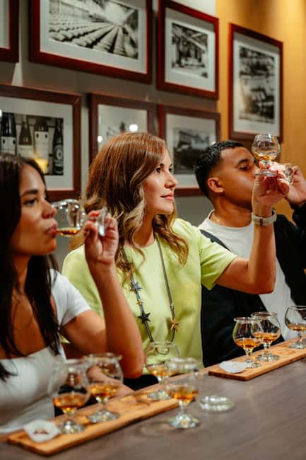 San Juan: Casa Bacardi Distillery Tour - A short trolley ride with a clear sense of place