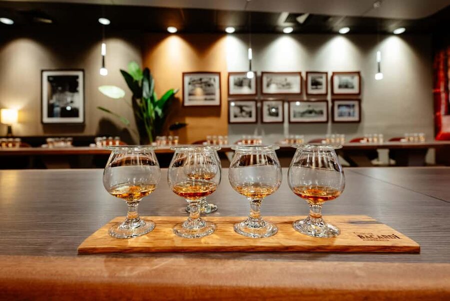 San Juan: Casa Bacardi Distillery Tour - The pavilion welcome drink sets the tone