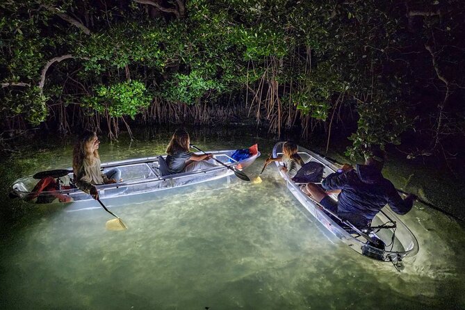 Sarasota - Clear Kayak LED Night Glass Bottom Tour - Sarasota Bay After Sunset