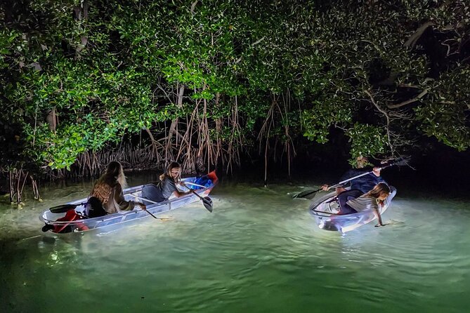 Sarasota - Clear Kayak LED Night Glass Bottom Tour - The Guides Make the Difference