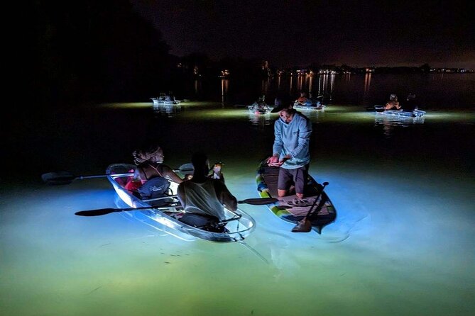 Sarasota - Clear Kayak LED Night Glass Bottom Tour - The Night Views Are Part of the Ticket