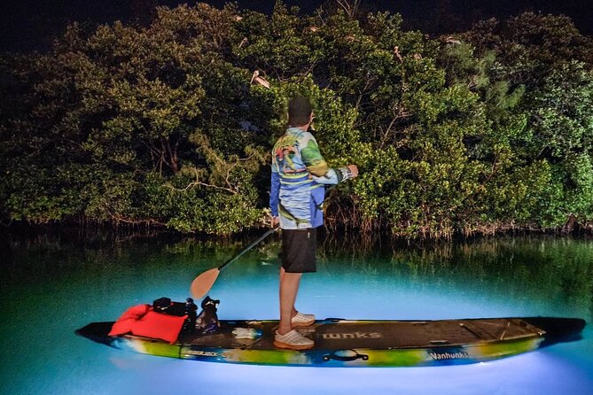 Sarasota - Clear Kayak LED Night Glass Bottom Tour - How Wet You Will Get